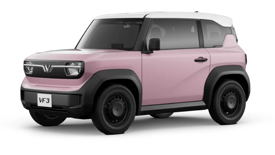 Rose Pink