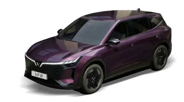 Mysterioso Purple