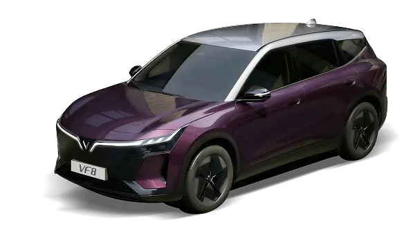 Mysterioso Purple Body - Stealth Gray Roof
